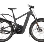 Riese and Muller Delite5 Pinion